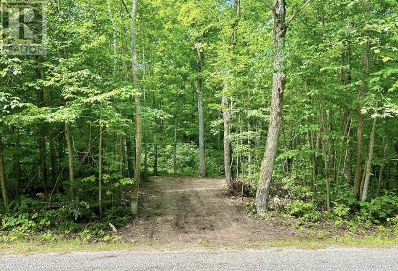 N/A Monument Road, Spring Bay, ON