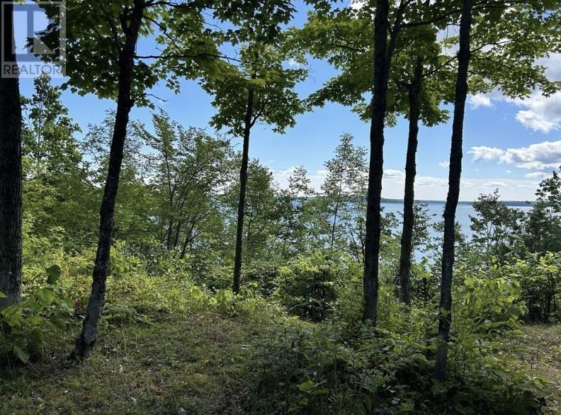 N/A Monument Road, Spring Bay, ON