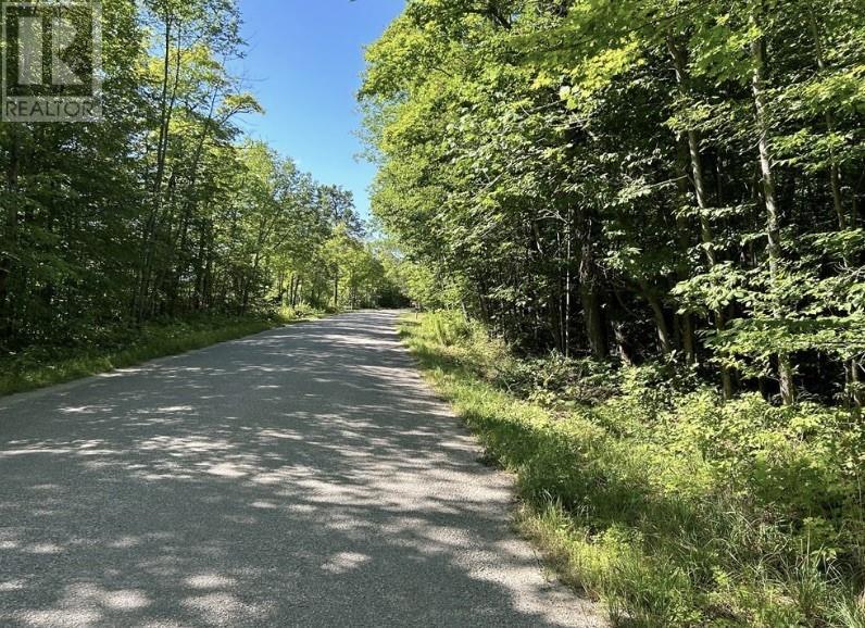 N/A Monument Road, Spring Bay, ON