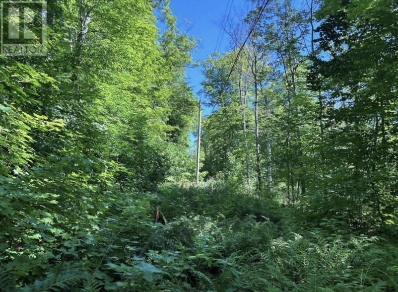 N/A Monument Road, Spring Bay, ON