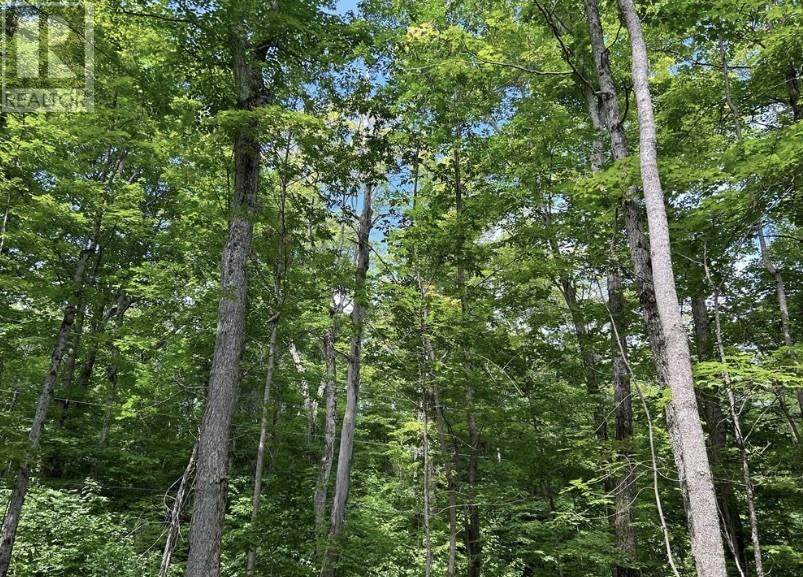 N/A Monument Road, Spring Bay, ON