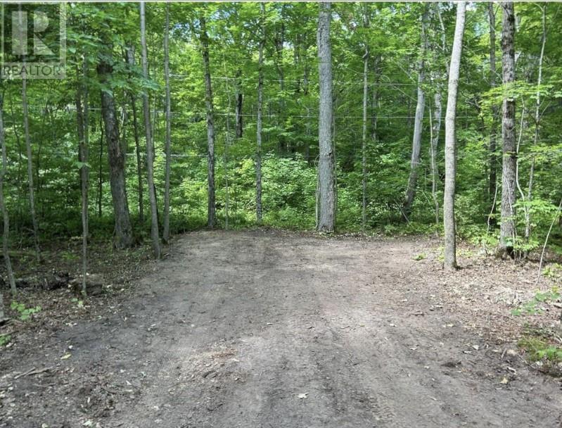 N/A Monument Road, Spring Bay, ON