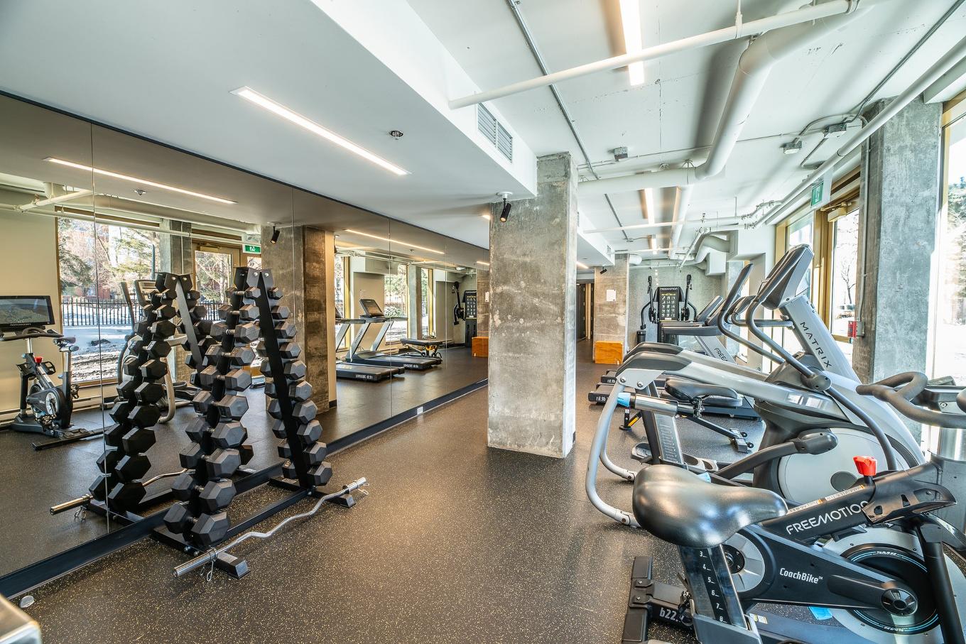 Salle d'exercice - 608-1575 Rue Gareau, Montréal (Ville-Marie), QC - Indoor Photo Showing Gym Room