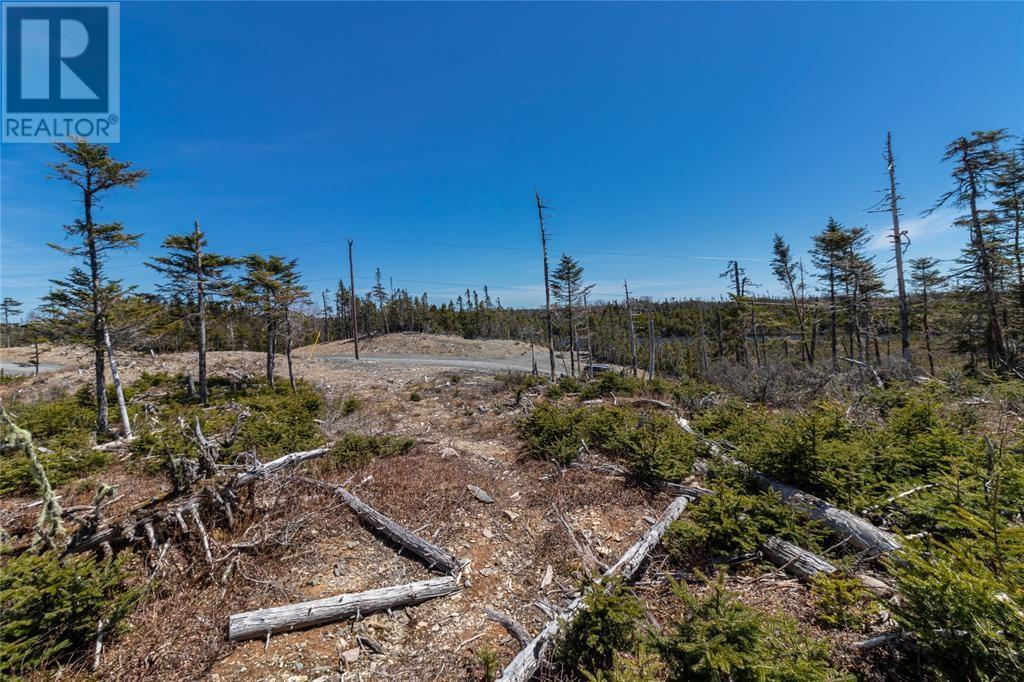 78 Inner Pond North Road, Ocean Pond, NL