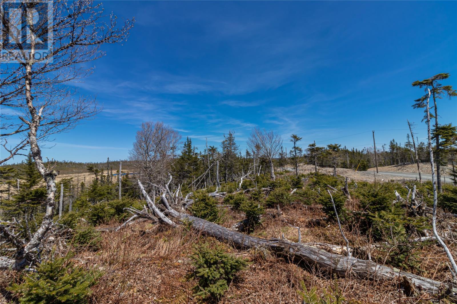78 Inner Pond North Road, Ocean Pond, NL