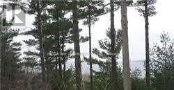 126 Nippissing Ridge Road, Tiny, ON