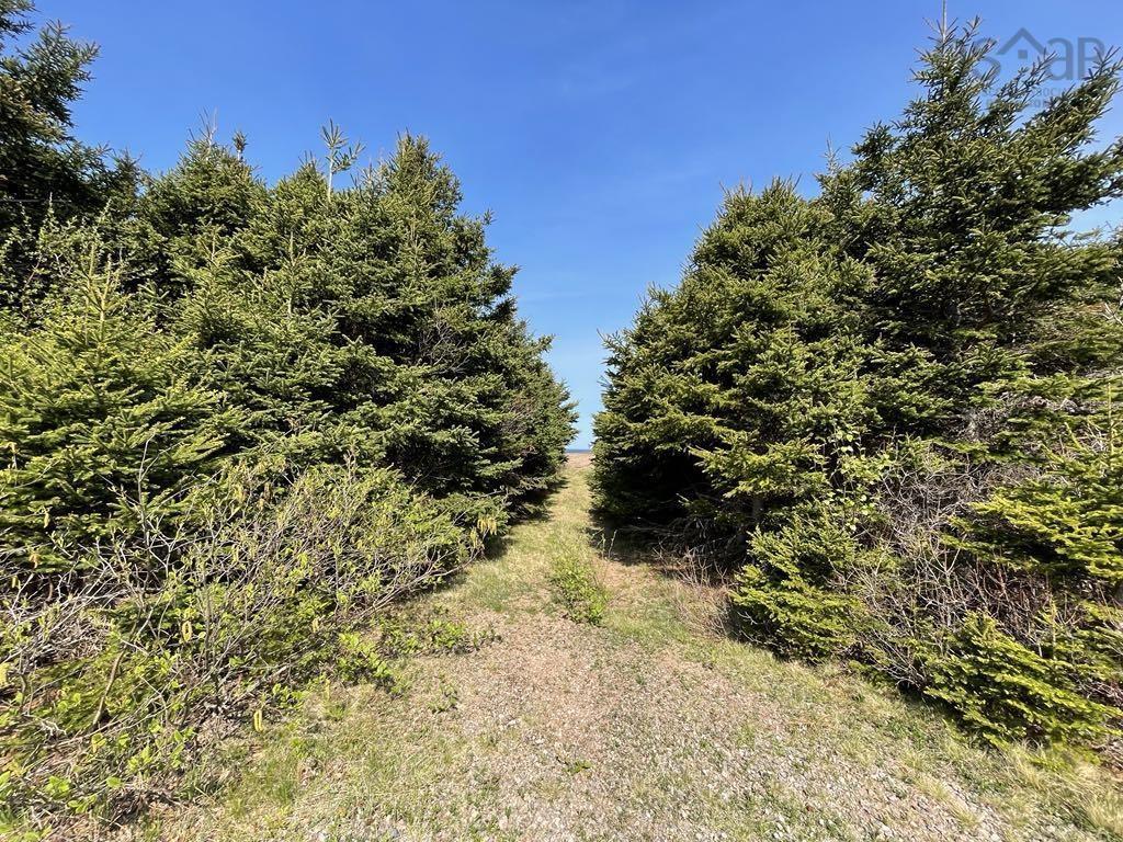 99 Pleasant Bay Loop, Pleasant Bay, NS