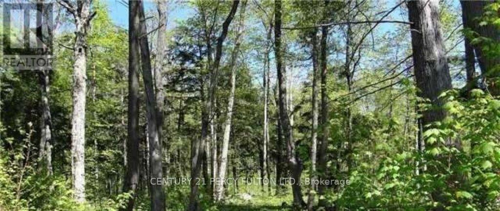 94 Nippissing Ridge Road, Tiny, ON