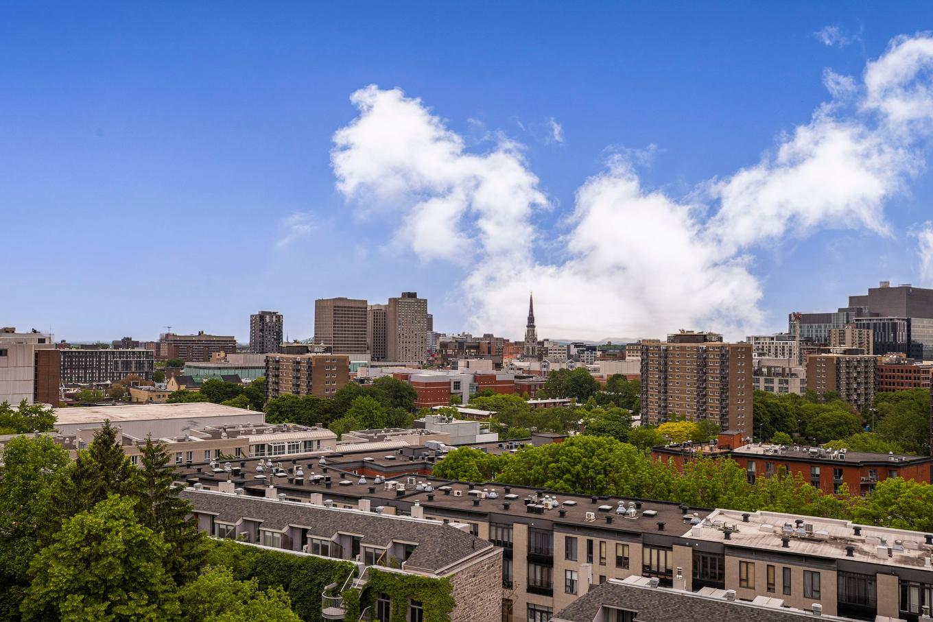 Vue - 508-2118 Rue St-Dominique, Montréal (Ville-Marie), QC - Outdoor With View