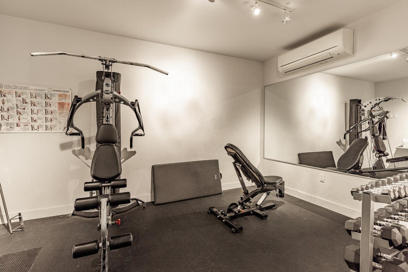 Salle d'exercice - 508-2118 Rue St-Dominique, Montréal (Ville-Marie), QC - Indoor Photo Showing Gym Room