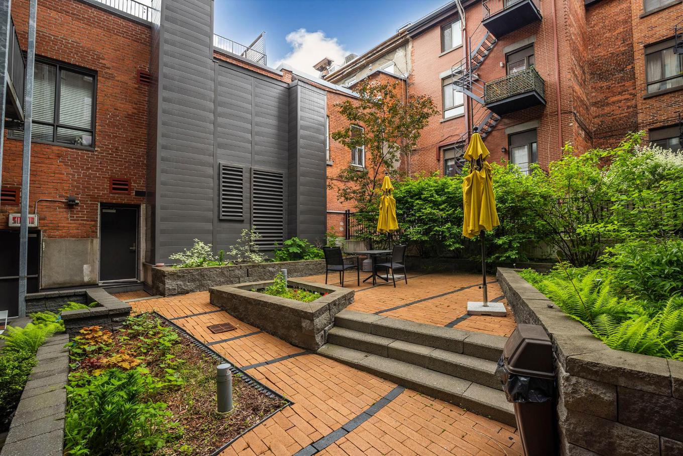 Cour - 508-2118 Rue St-Dominique, Montréal (Ville-Marie), QC - Outdoor