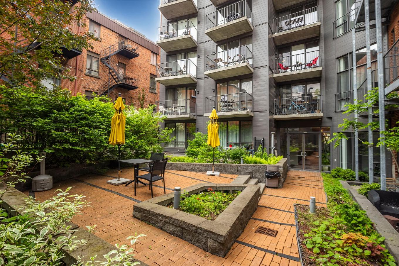 Cour - 508-2118 Rue St-Dominique, Montréal (Ville-Marie), QC - Outdoor