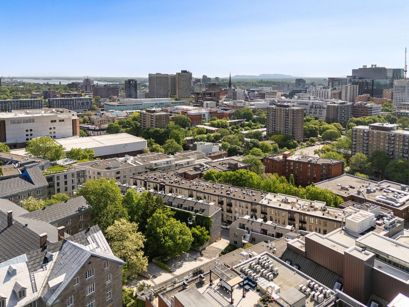 Photo aérienne - 508-2118 Rue St-Dominique, Montréal (Ville-Marie), QC - Outdoor With View