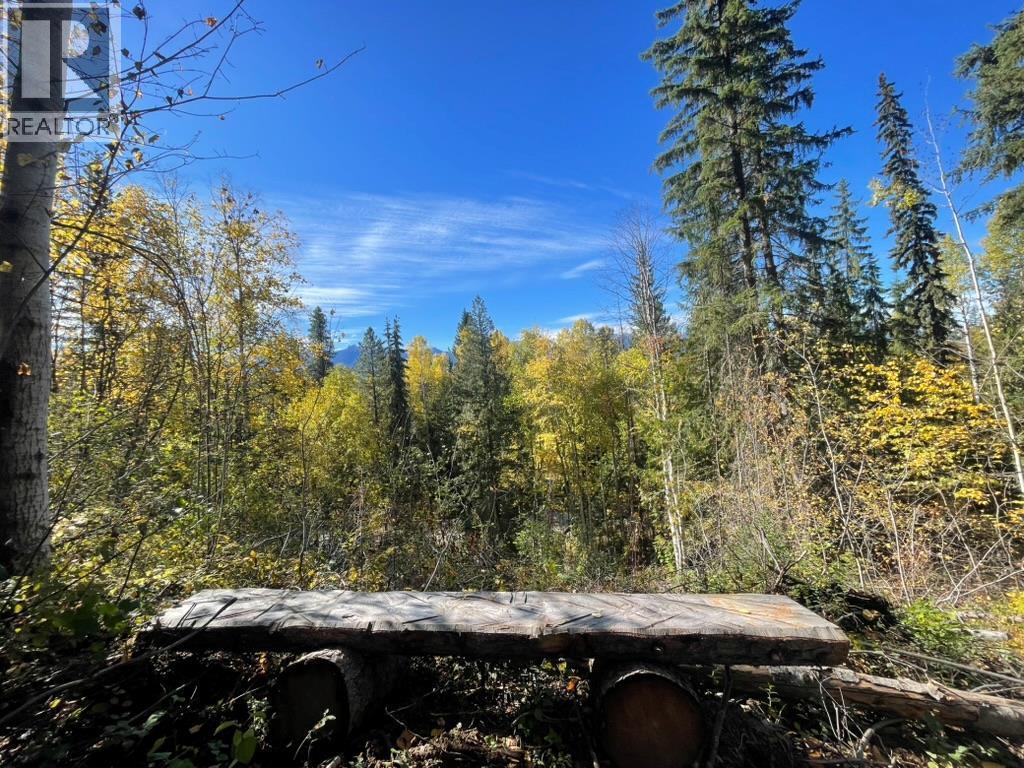 1176 Golden Donald Upper Road, Golden, BC