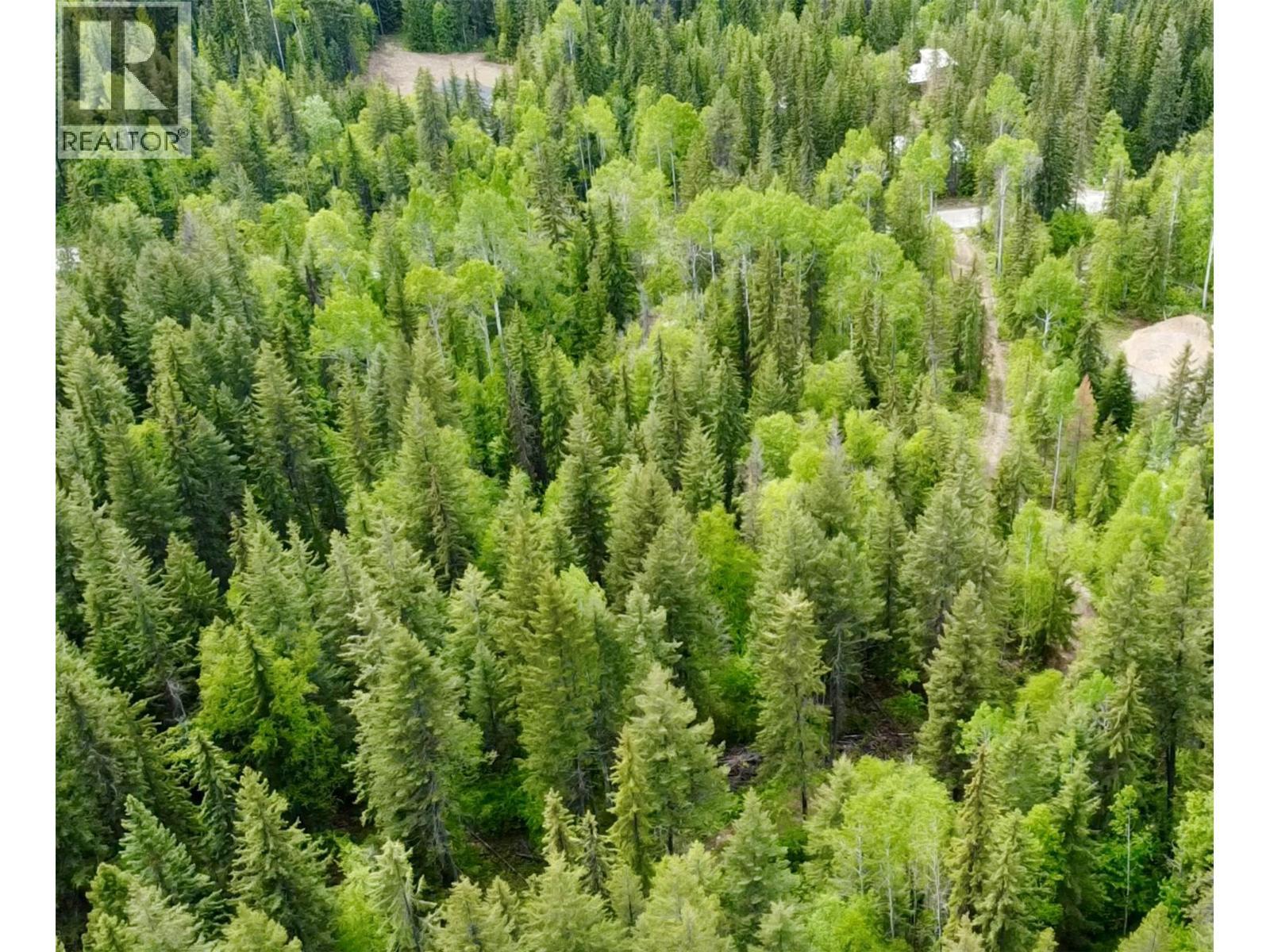 1176 Golden Donald Upper Road, Golden, BC