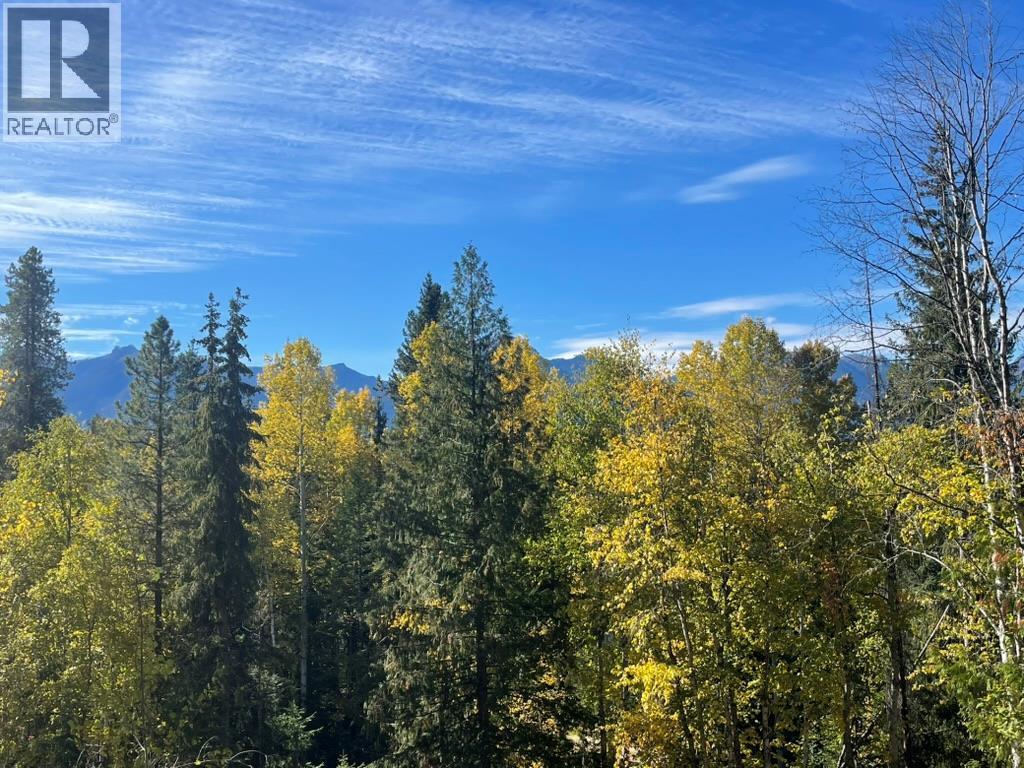 1176 Golden Donald Upper Road, Golden, BC