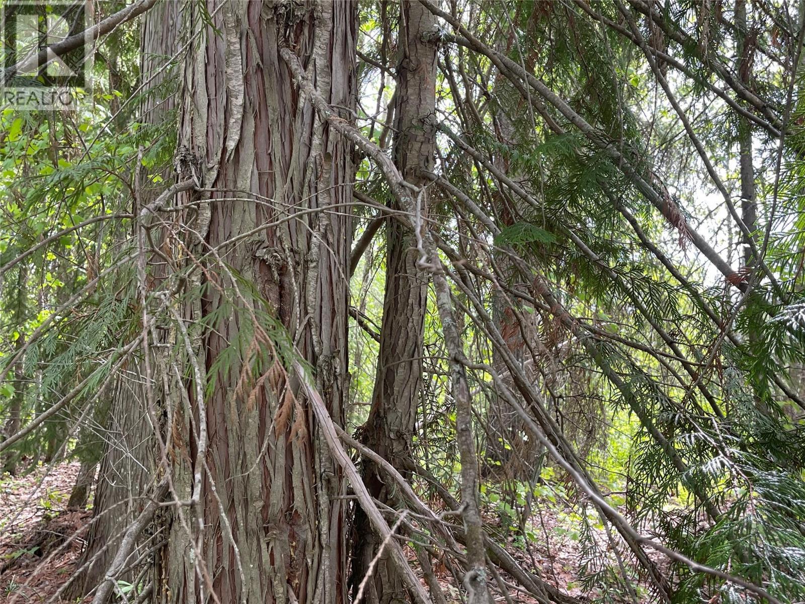 1176 Golden Donald Upper Road, Golden, BC