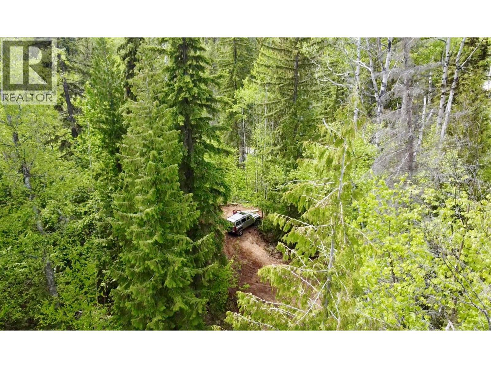 1176 Golden Donald Upper Road, Golden, BC