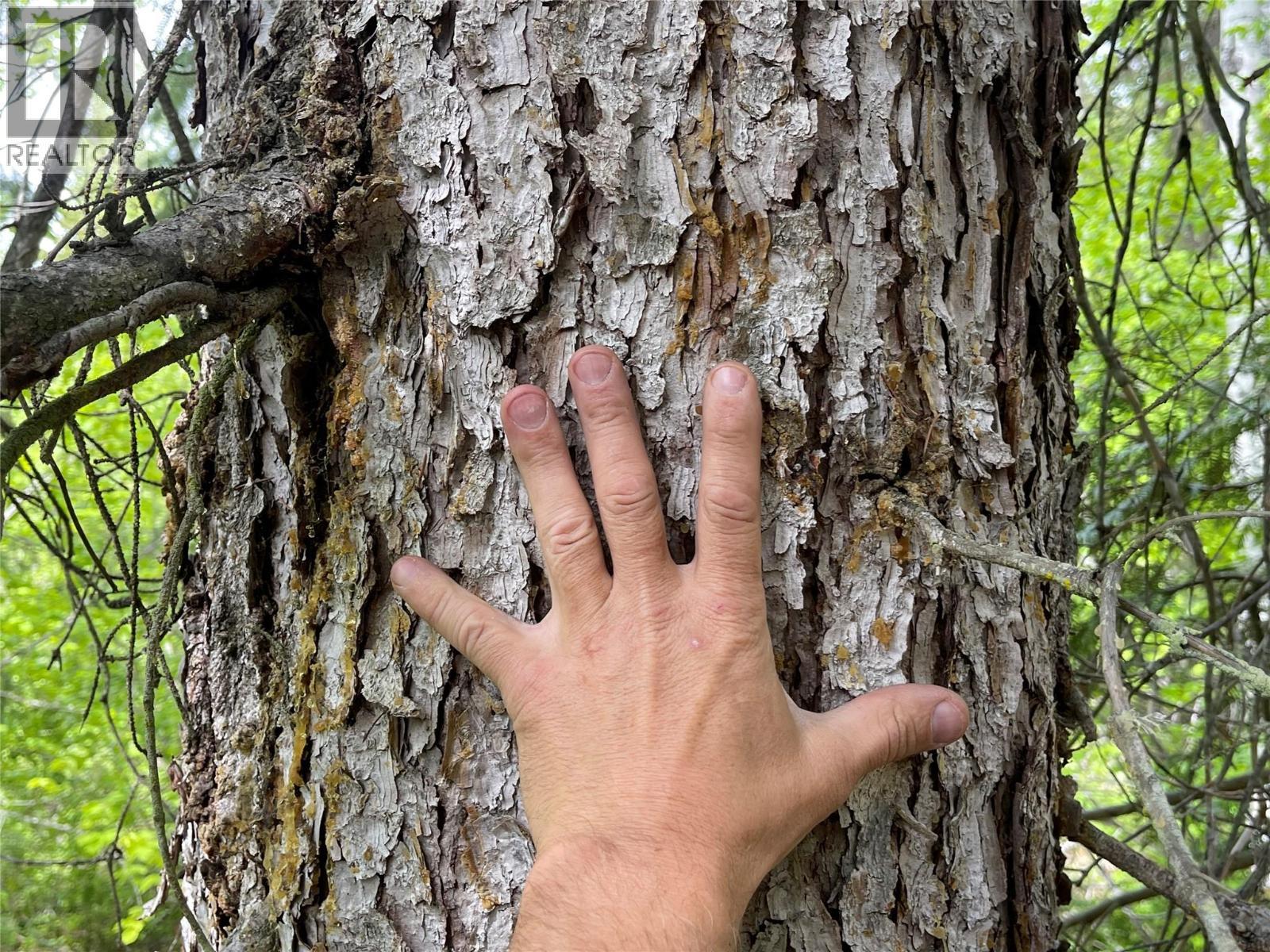 1176 Golden Donald Upper Road, Golden, BC