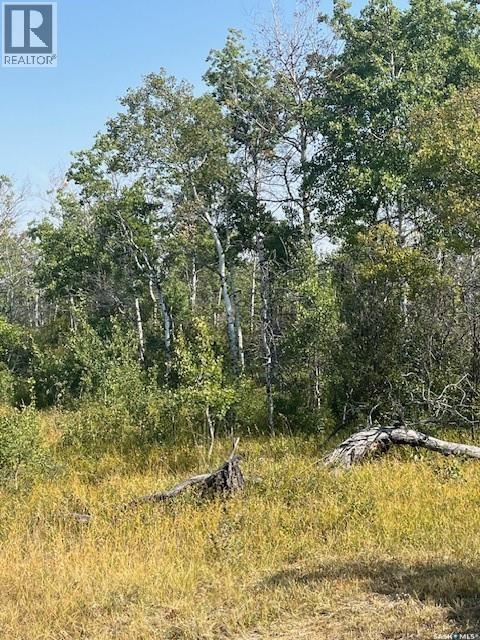 Pasture Rd. Acreage Site, Corman Park Rm No. 344, SK