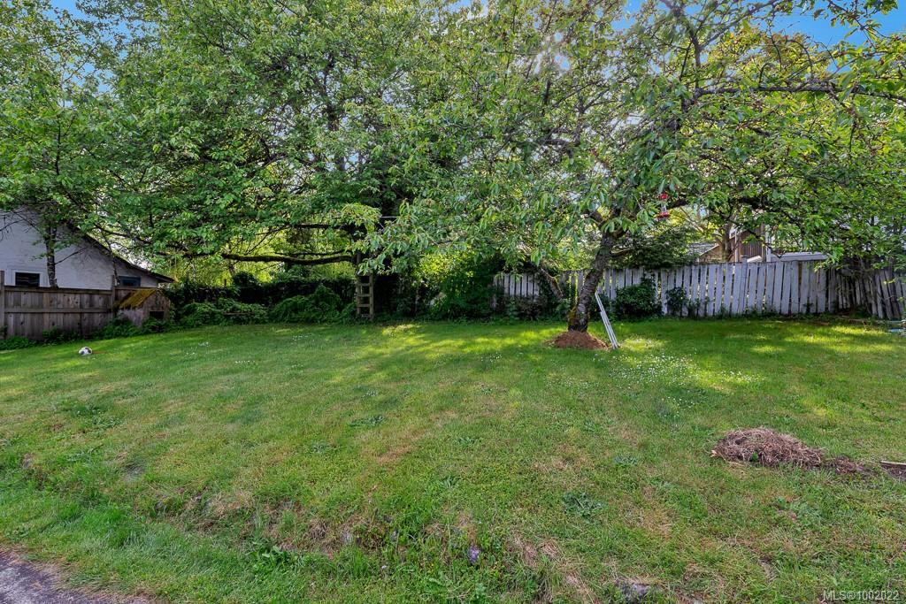 307, 311,315 Holly Ave, Nanaimo, BC - Outdoor With Backyard