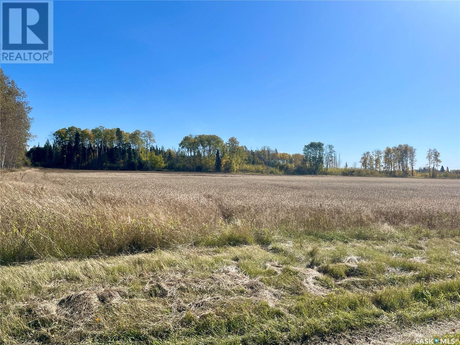 Morton Land 38.97 Acres, Hudson Bay Rm No. 394, SK