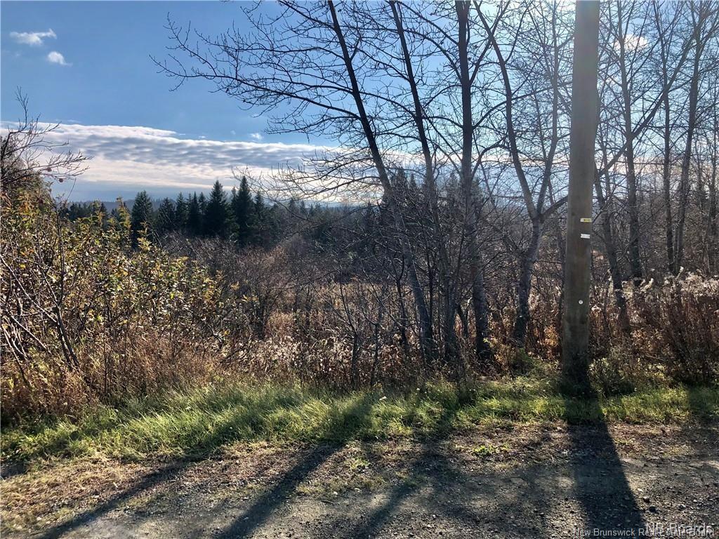 - Ave Des Pionniers, Balmoral, NB