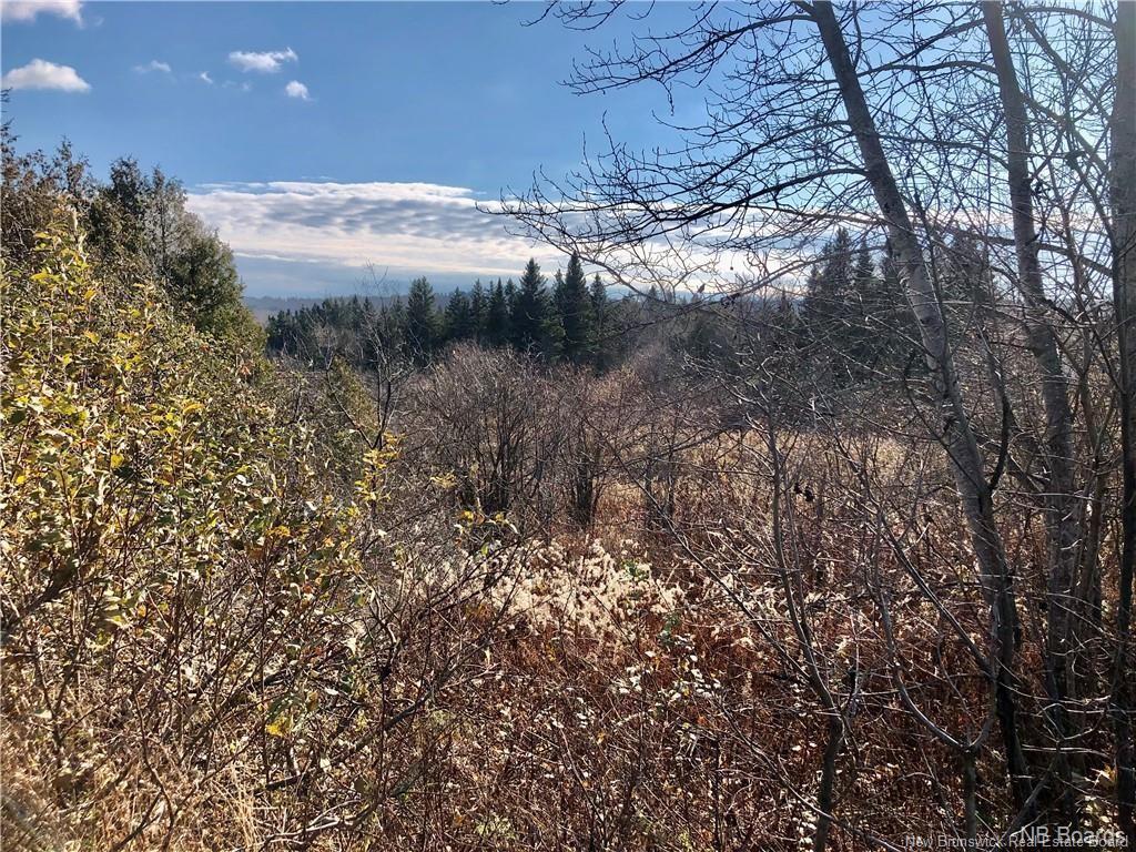 - Ave Des Pionniers, Balmoral, NB