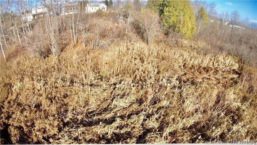 - Ave Des Pionniers, Balmoral, NB