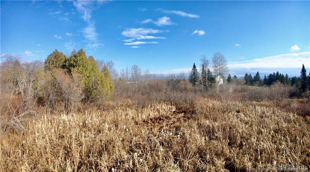 - Ave Des Pionniers, Balmoral, NB