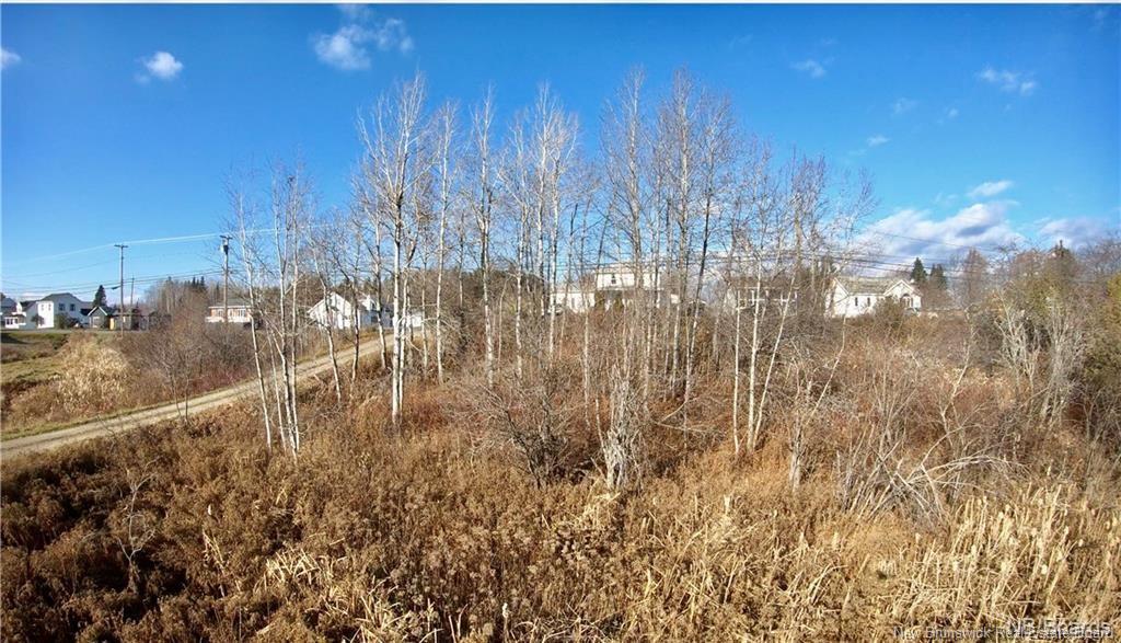 - Ave Des Pionniers, Balmoral, NB