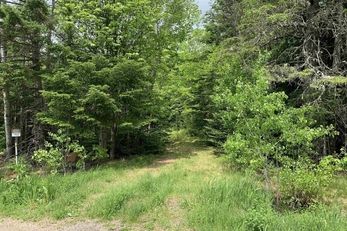Lot 6 Highway 321, Roslin, NS