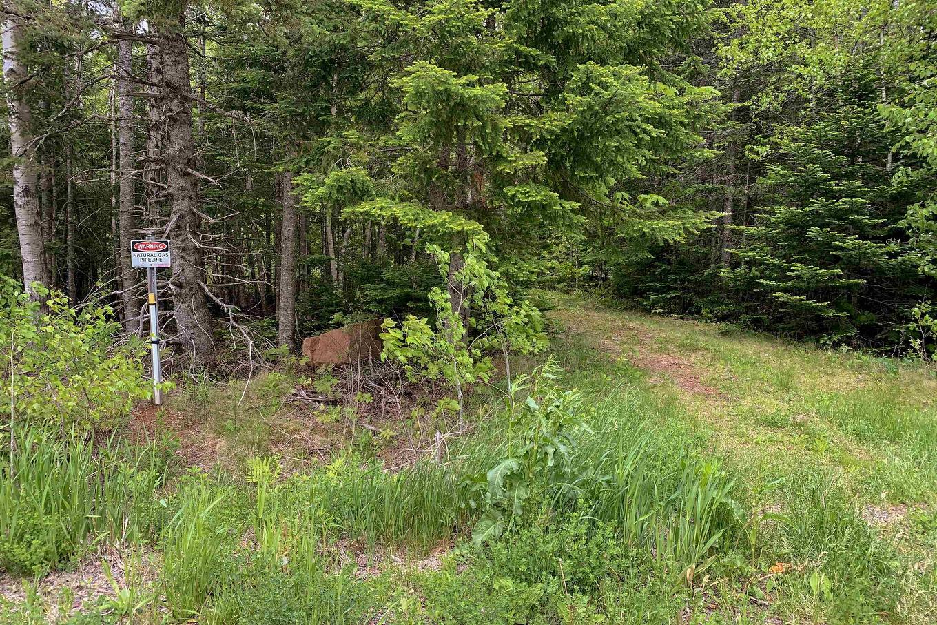 Lot 6 Highway 321, Roslin, NS