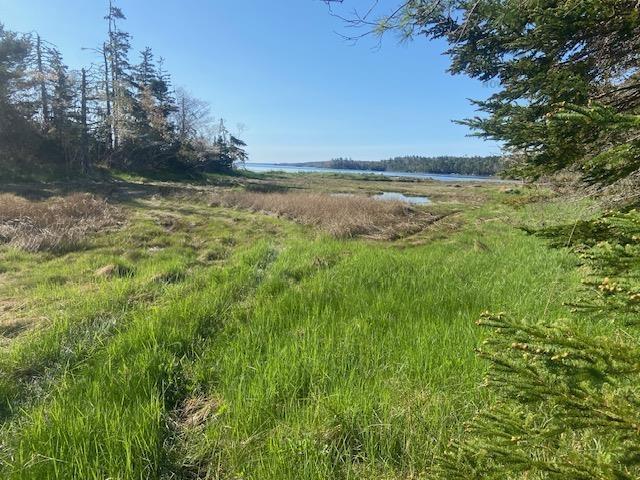 Lot Browns Lane, Birchtown, NS