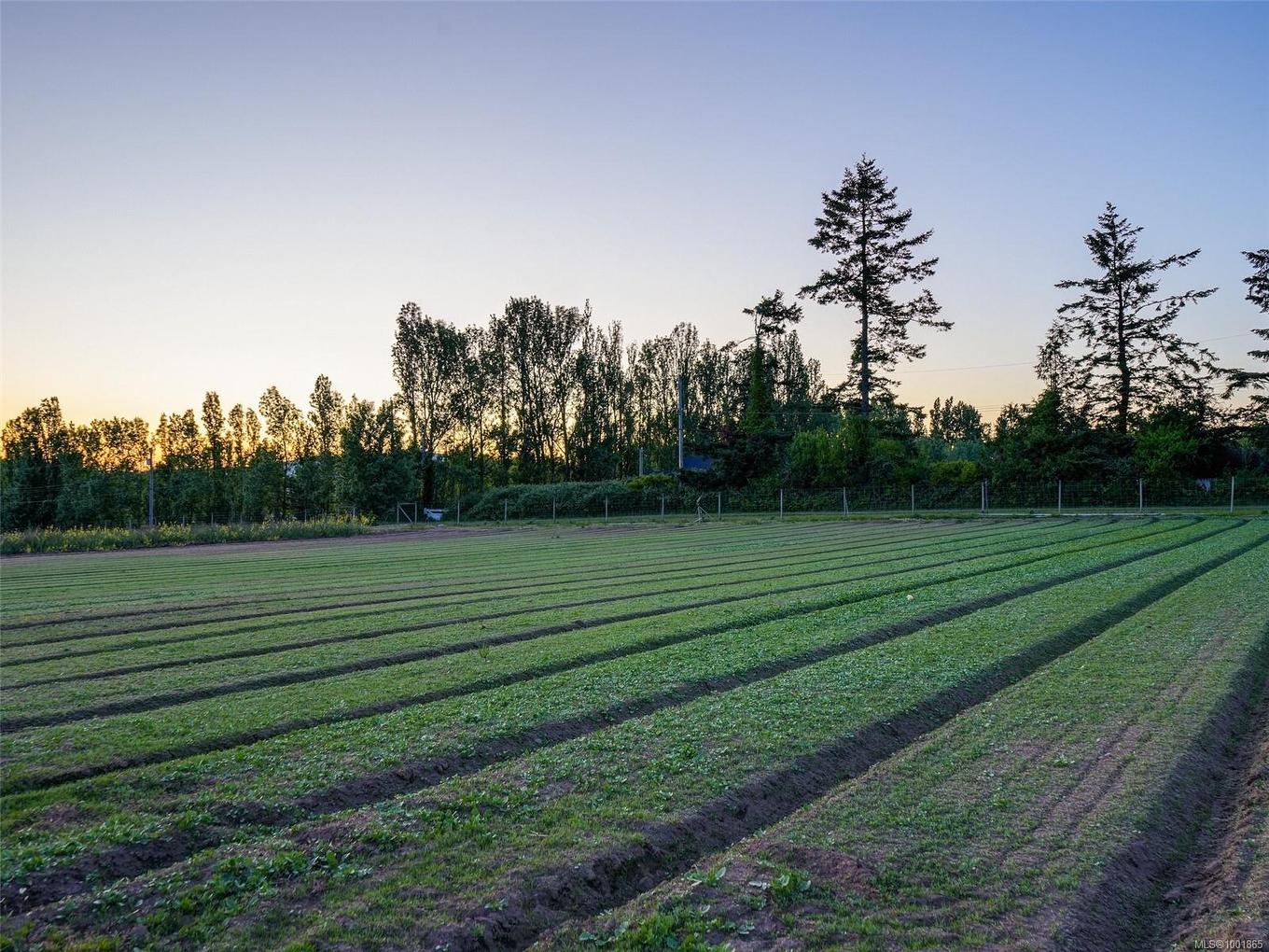 3191 Martindale Rd, Central Saanich, BC