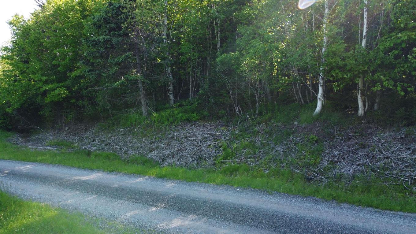 Lot 04-12 Nature Dream P Boulevard, Roberta, NS