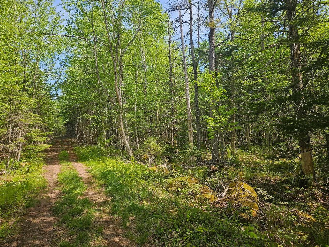 22A Maple Drive, New Russell, NS