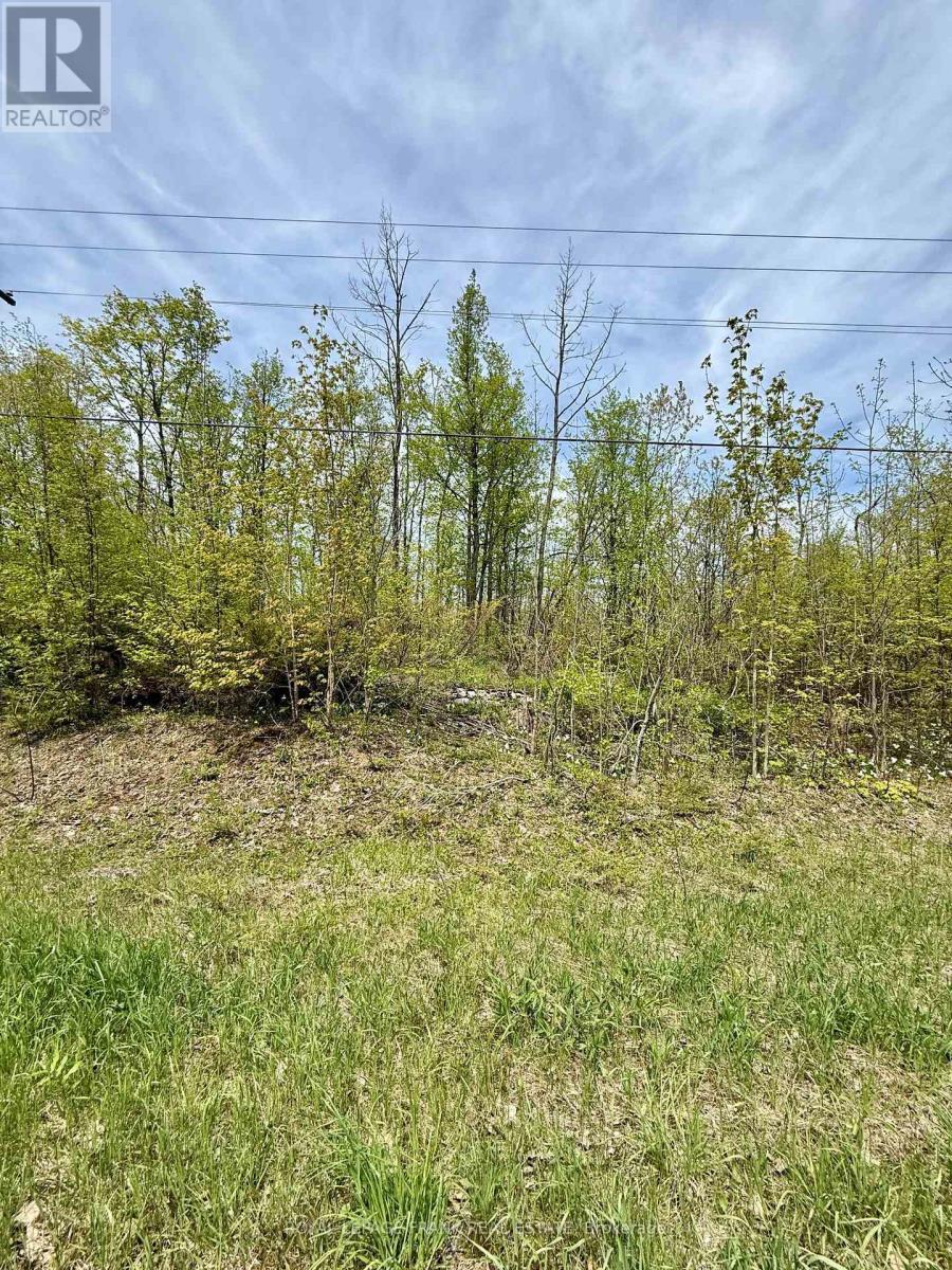 00 Birchview Road, Douro-Dummer, ON