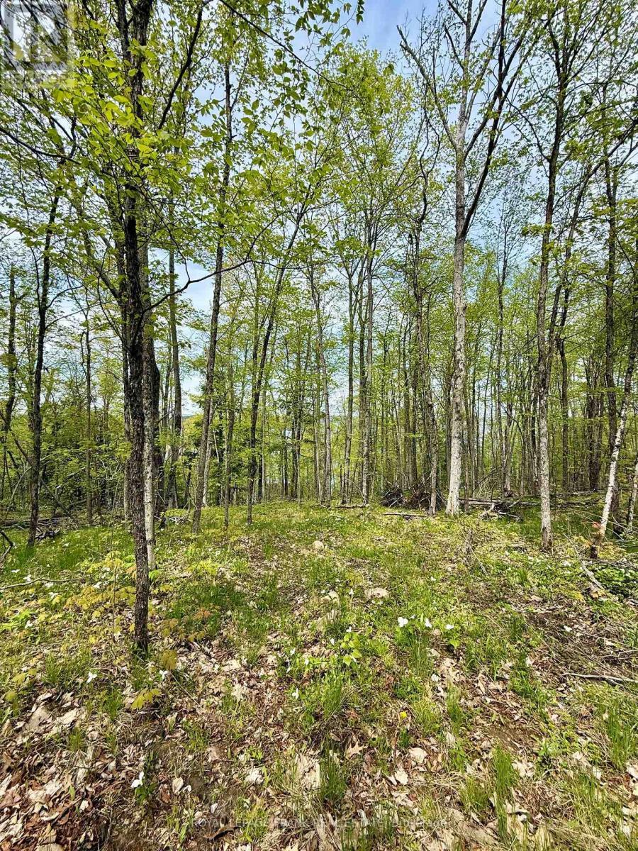 00 Birchview Road, Douro-Dummer, ON