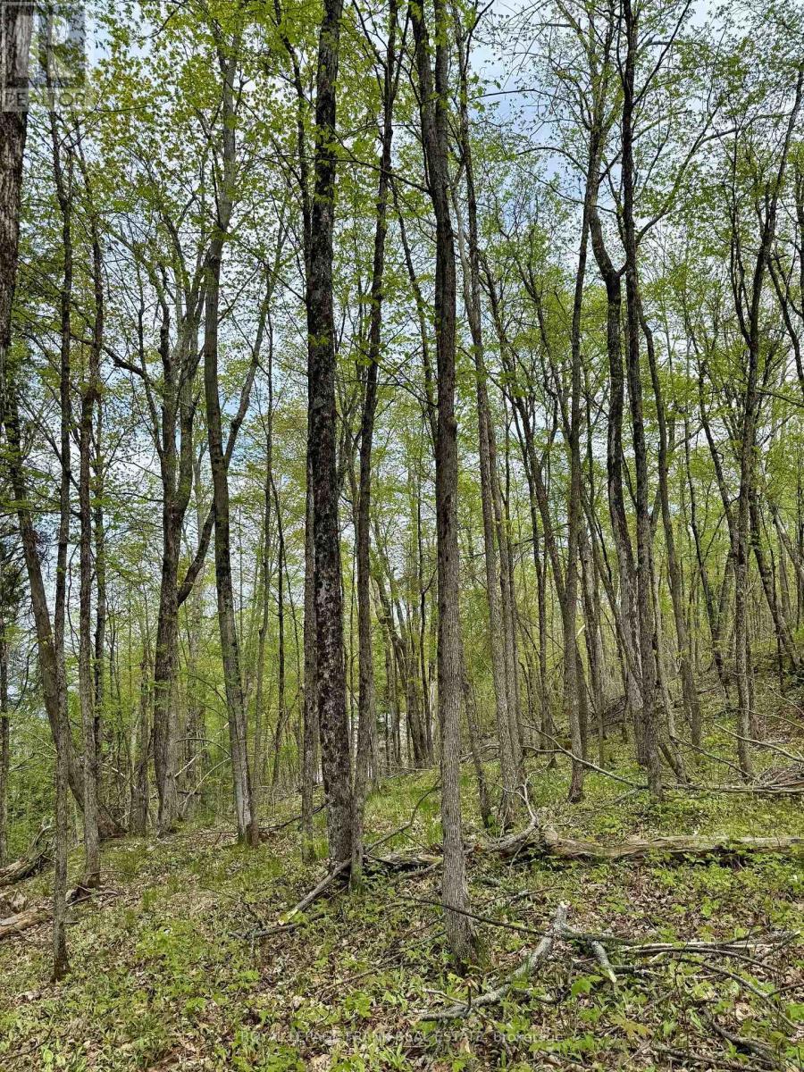 00 Birchview Road, Douro-Dummer, ON