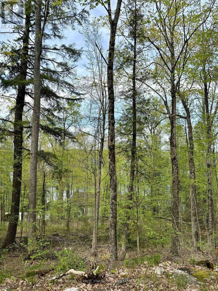 00 Birchview Road, Douro-Dummer, ON