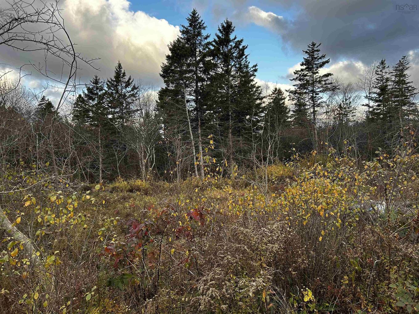 381 Marshalltown Road, Marshalltown, NS