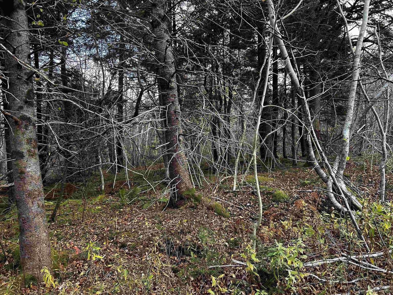 381 Marshalltown Road, Marshalltown, NS