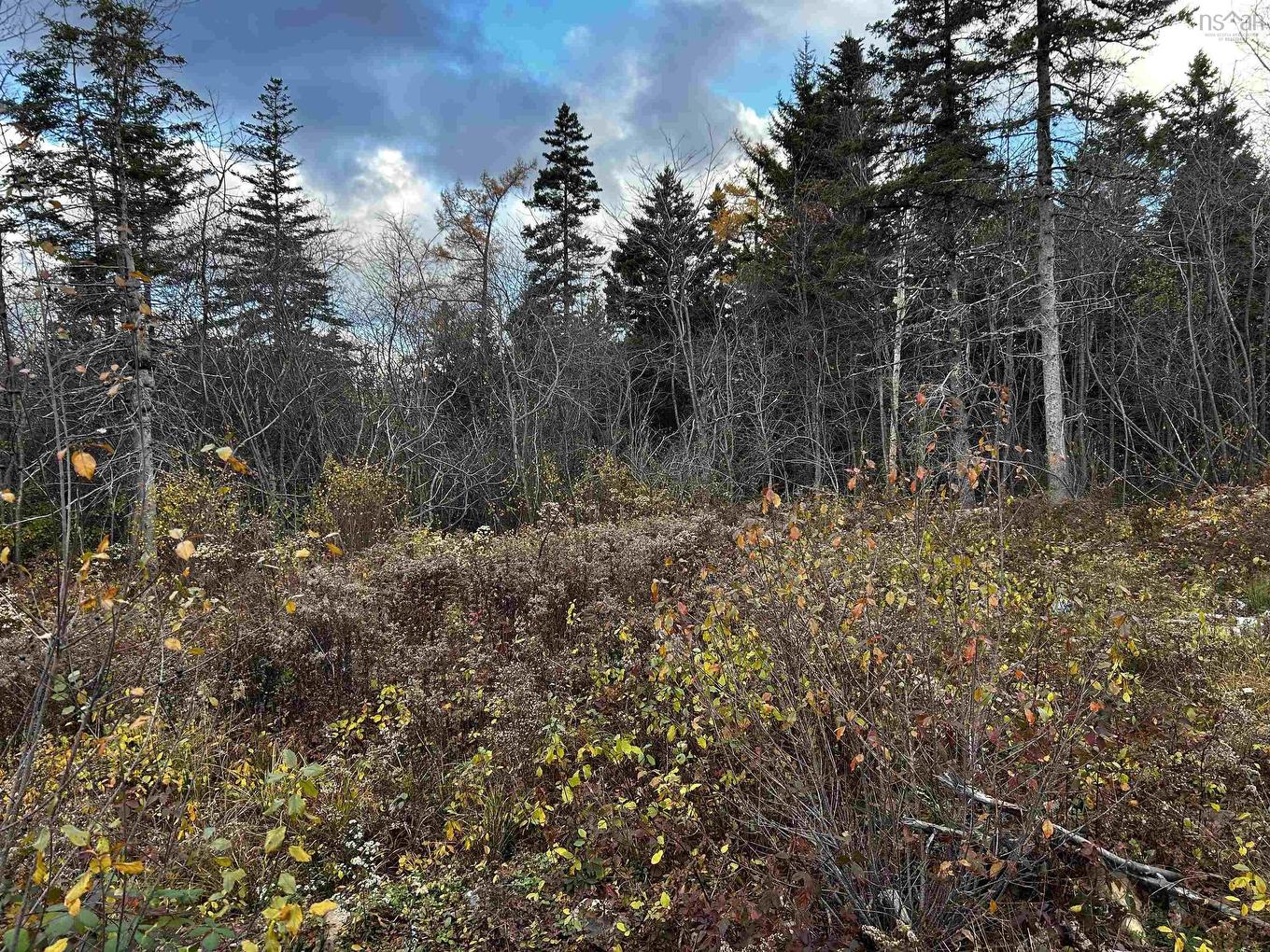 381 Marshalltown Road, Marshalltown, NS