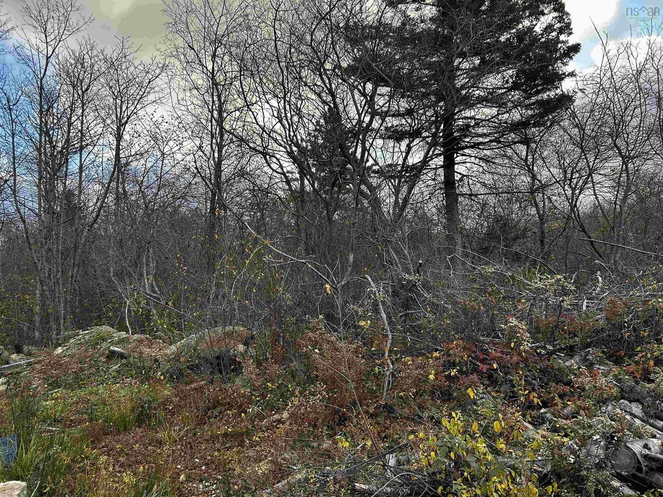 381 Marshalltown Road, Marshalltown, NS