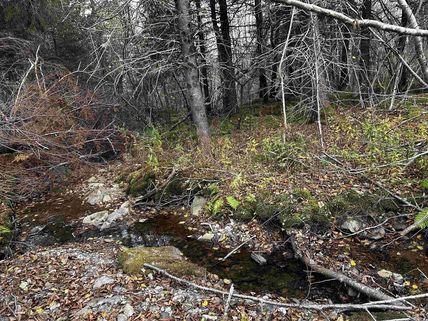 381 Marshalltown Road, Marshalltown, NS