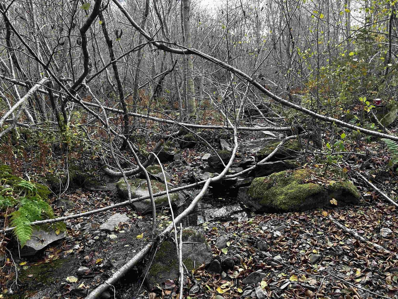 381 Marshalltown Road, Marshalltown, NS