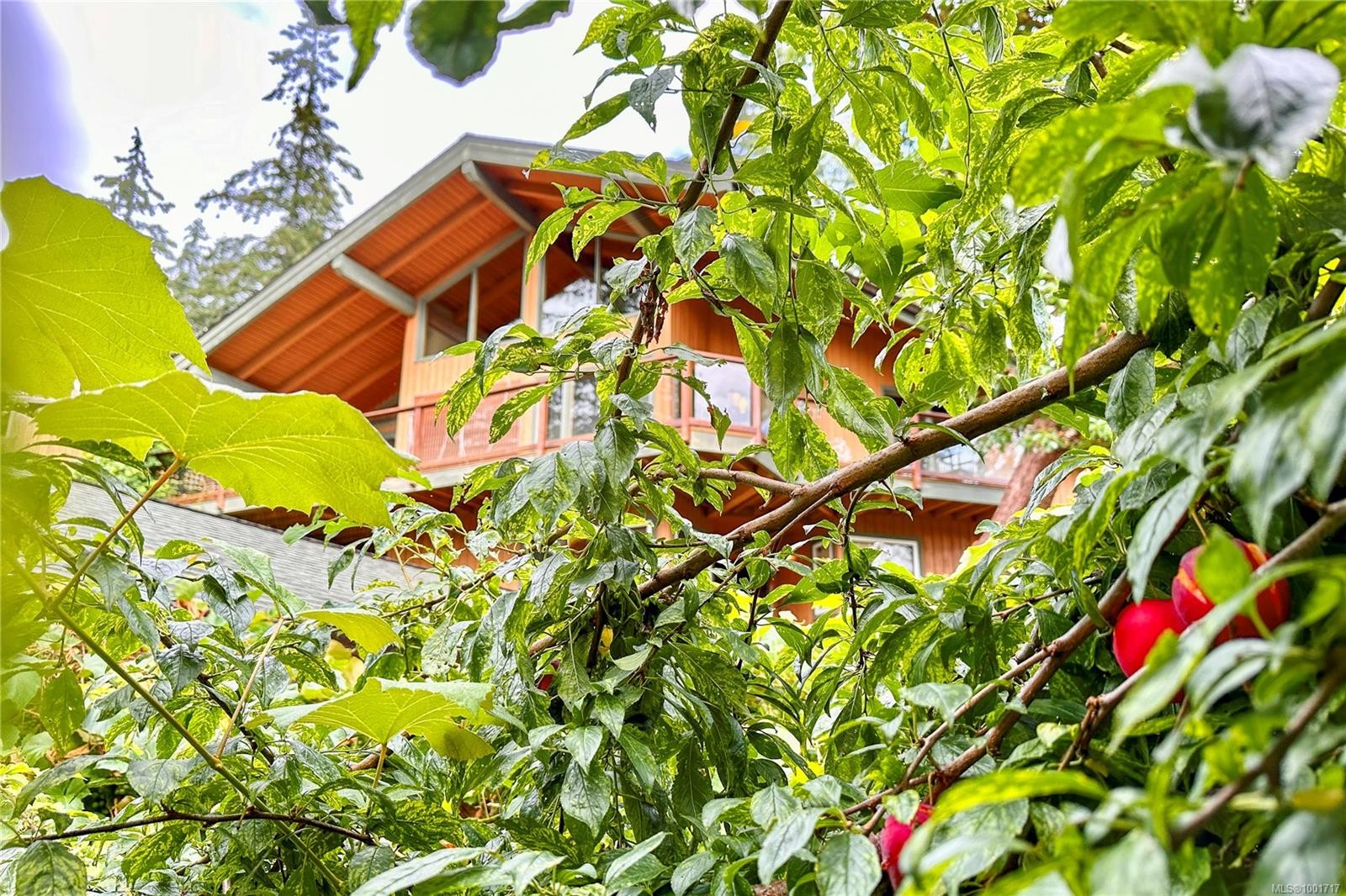 784 Cliffe Rd, Quadra Island, BC