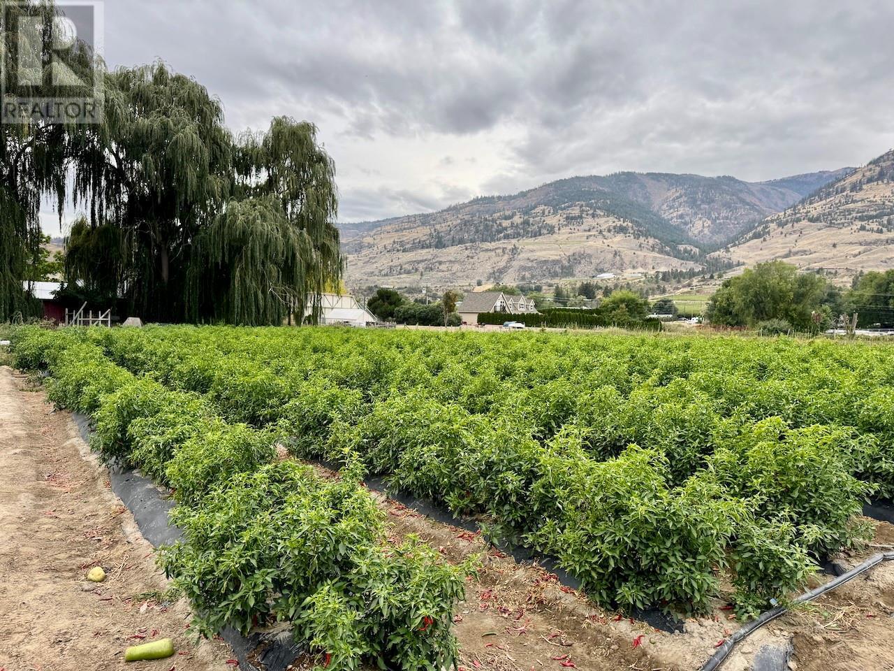 124 Road 10, Oliver, BC