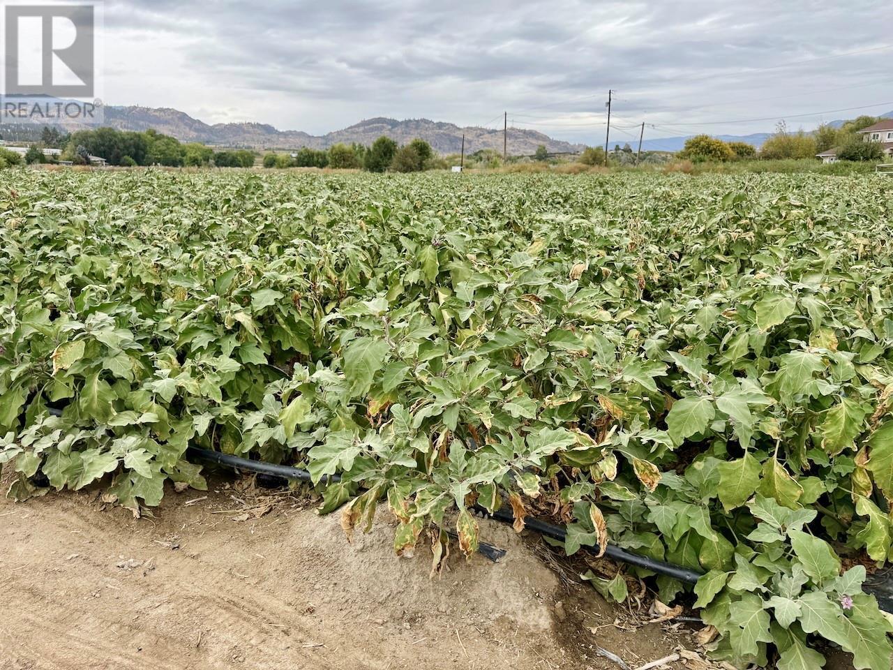 124 Road 10, Oliver, BC